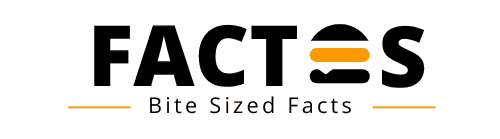 Bite Sized Facts Logo
