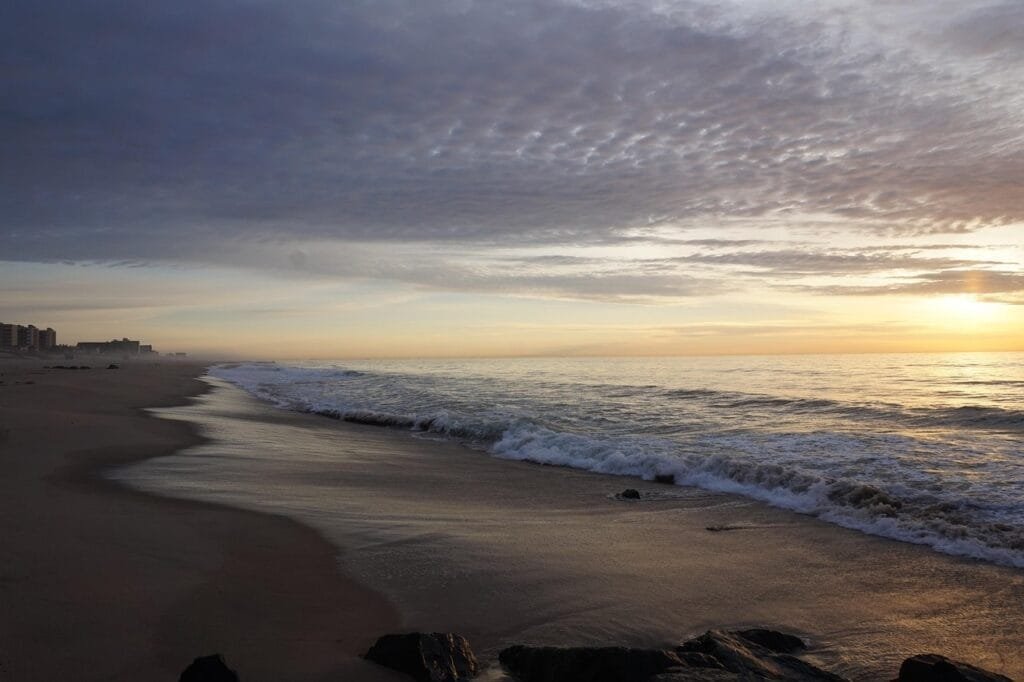 Jersey Shoreline-Compressed New Jersey Shoreline