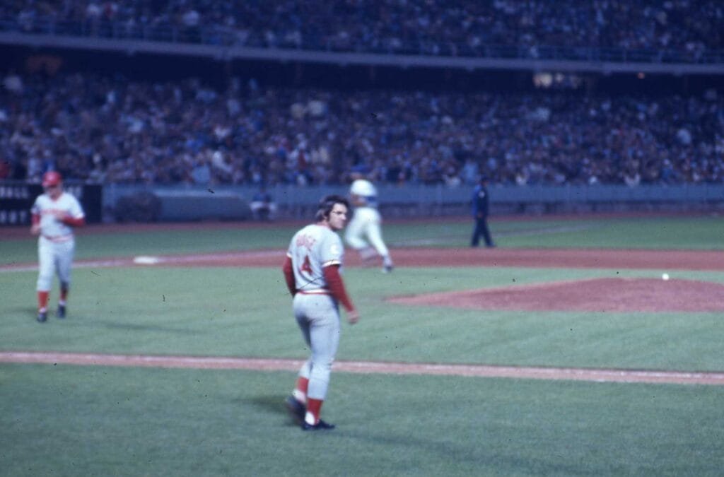 Rose_walking_onto_field
